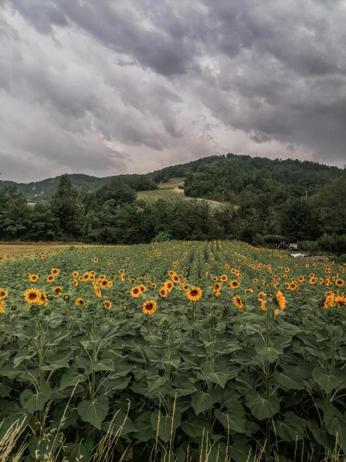 הוילה San Sebastiano Curone Nickland מראה חיצוני תמונה